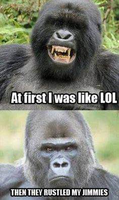 Phillymon tweet media