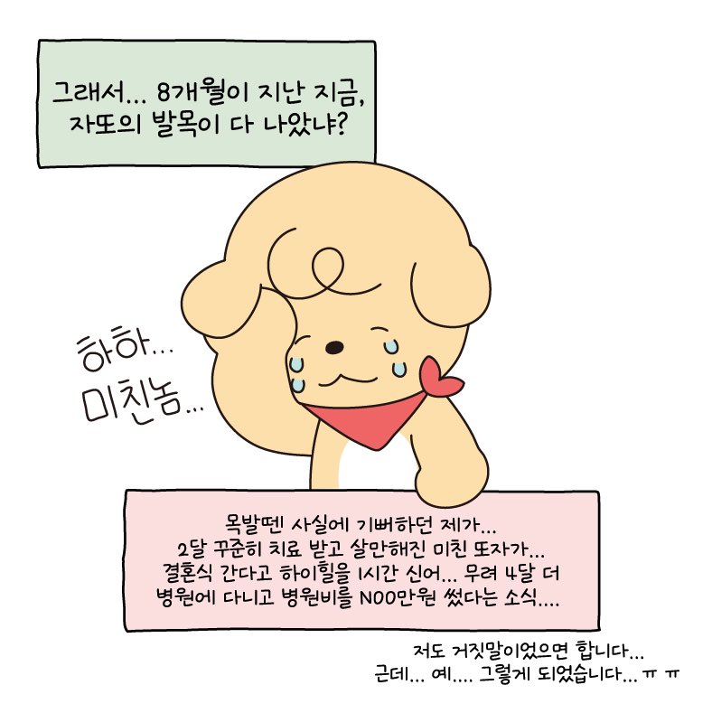 ddoja0325's tweet photo. 목발을 짚고 절뚝대면서 오래 다니면 허리도 타격을 입고 어깨도 안쪽으로 말리고 거북목이 되며 반대쪽 지지하는 발바닥에 족적근막염도 생길 수 있다는 사실을 아시나요? 그리고 그 족적근막염을 치료하기 위한 충격파 치료를... (더보기)

저도 알고싶지 않았답니다...
모두 건강합시다~ 끝!
(6/6) https://t.co/pXXWer4lzz