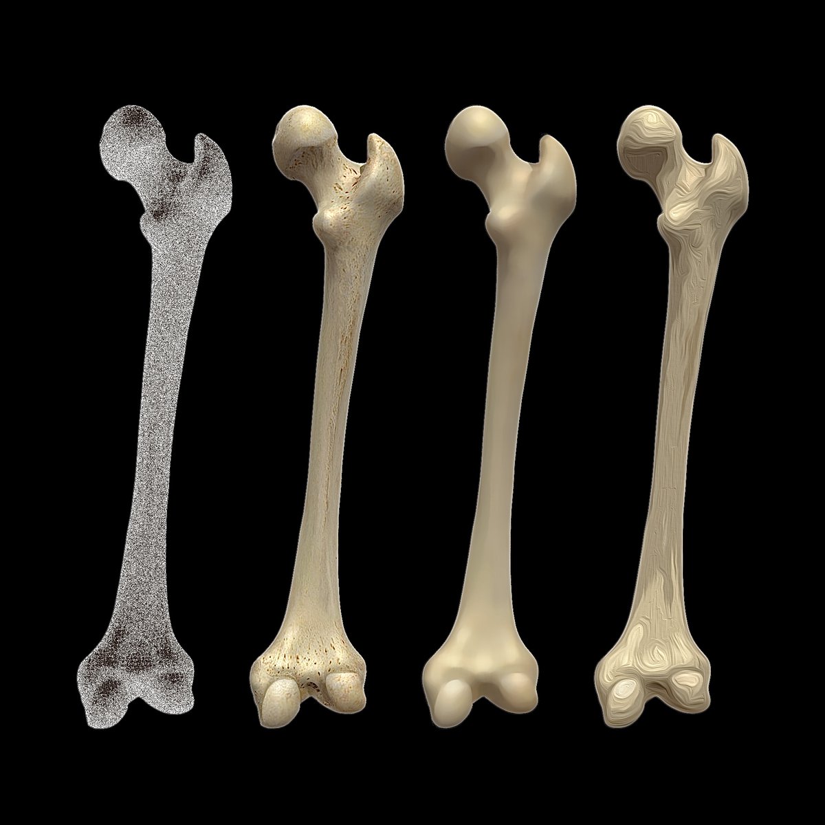 meditor_laiman's tweet photo. Get your own image with #MEDITOR.
Downloaded images can be used as you like. Commercial use is also permitted for Premium and Business plans🙂
#meditor
#laiman
#medicalillustration
#anatomy
#illustrator
#解剖
#イラストレーター
#3dmodel
#大腿骨
#femur
#骨の健康 https://t.co/q3MWCawq0I