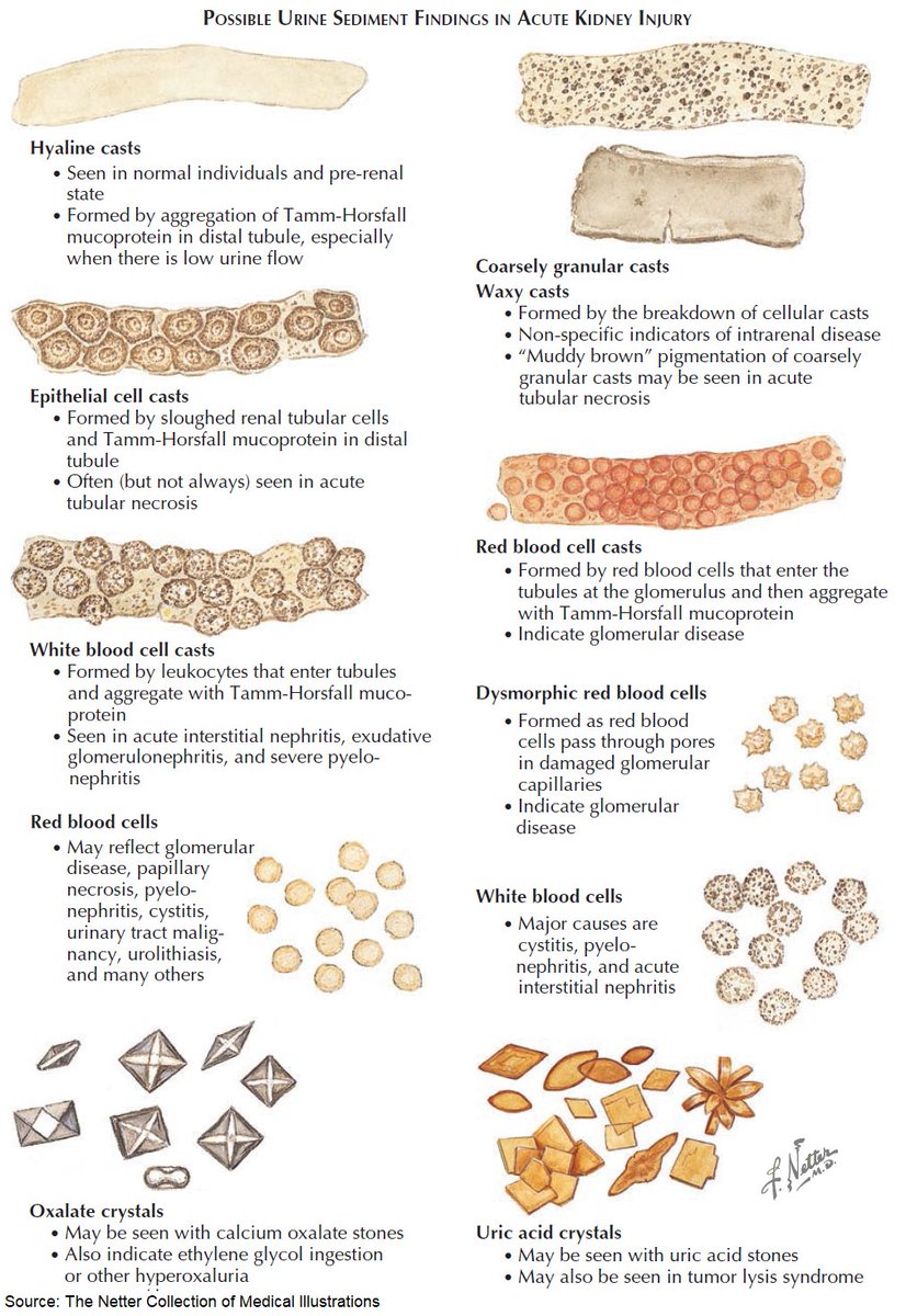 Manual Of Medicine tweet media