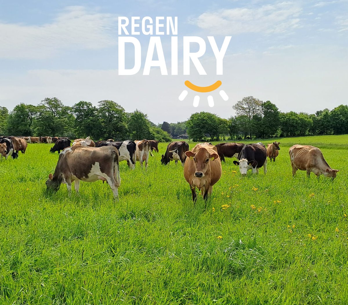 🚜 Farmers - explore practical, farmer-led regenerative dairy training with the new free course from The Regen Dairy Project.

Gain insights from global regenerative dairy farmers and learn how to implement sustainable practices on your farm. Learn more: regendairy.org/training-cours…