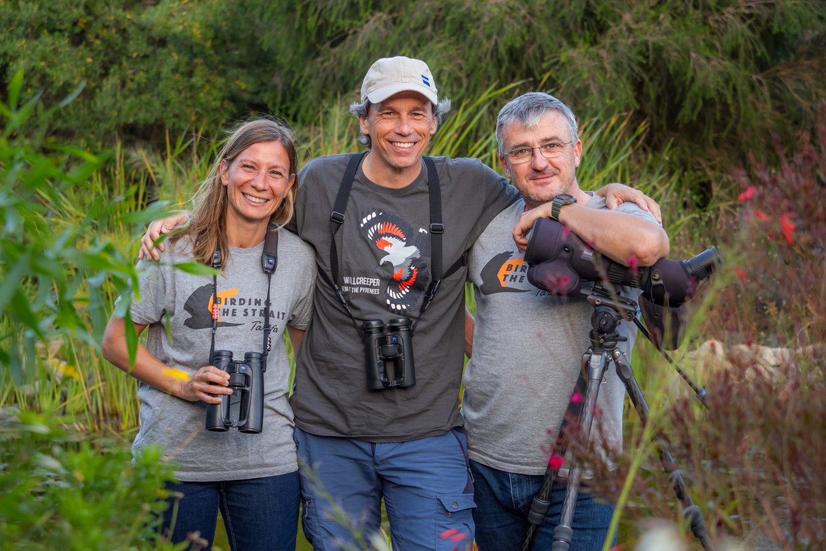Birding The Strait tweet media
