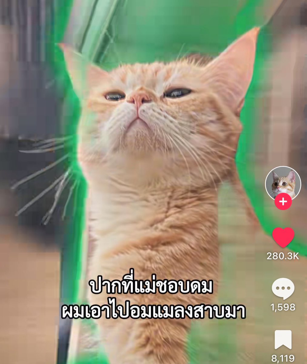 𝙎𝙖𝙣𝙙𝙮 tweet media