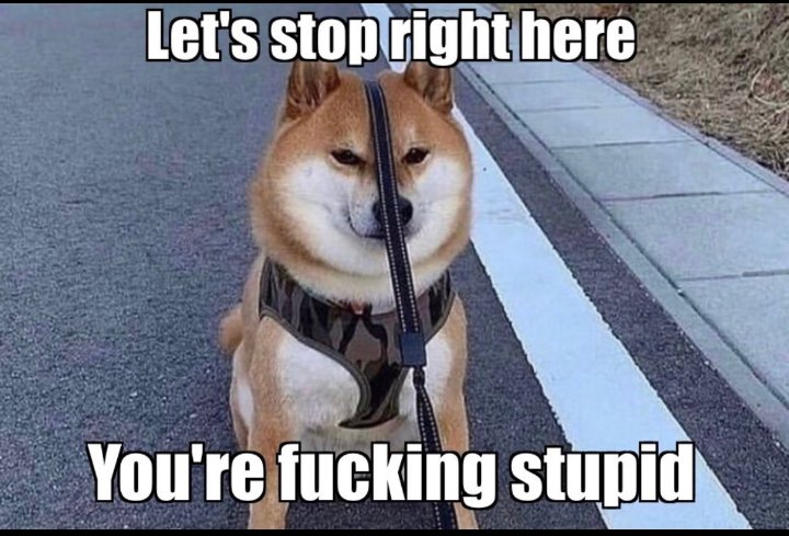 The Ghost of Pasha Fella tweet media