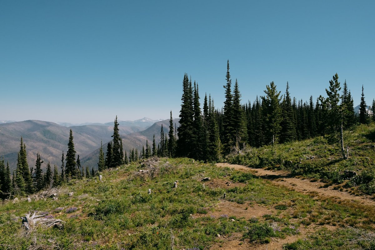 JamesCapet's tweet photo. Spent some much needed time in the mountains this weekend. https://t.co/uJ56nV04al