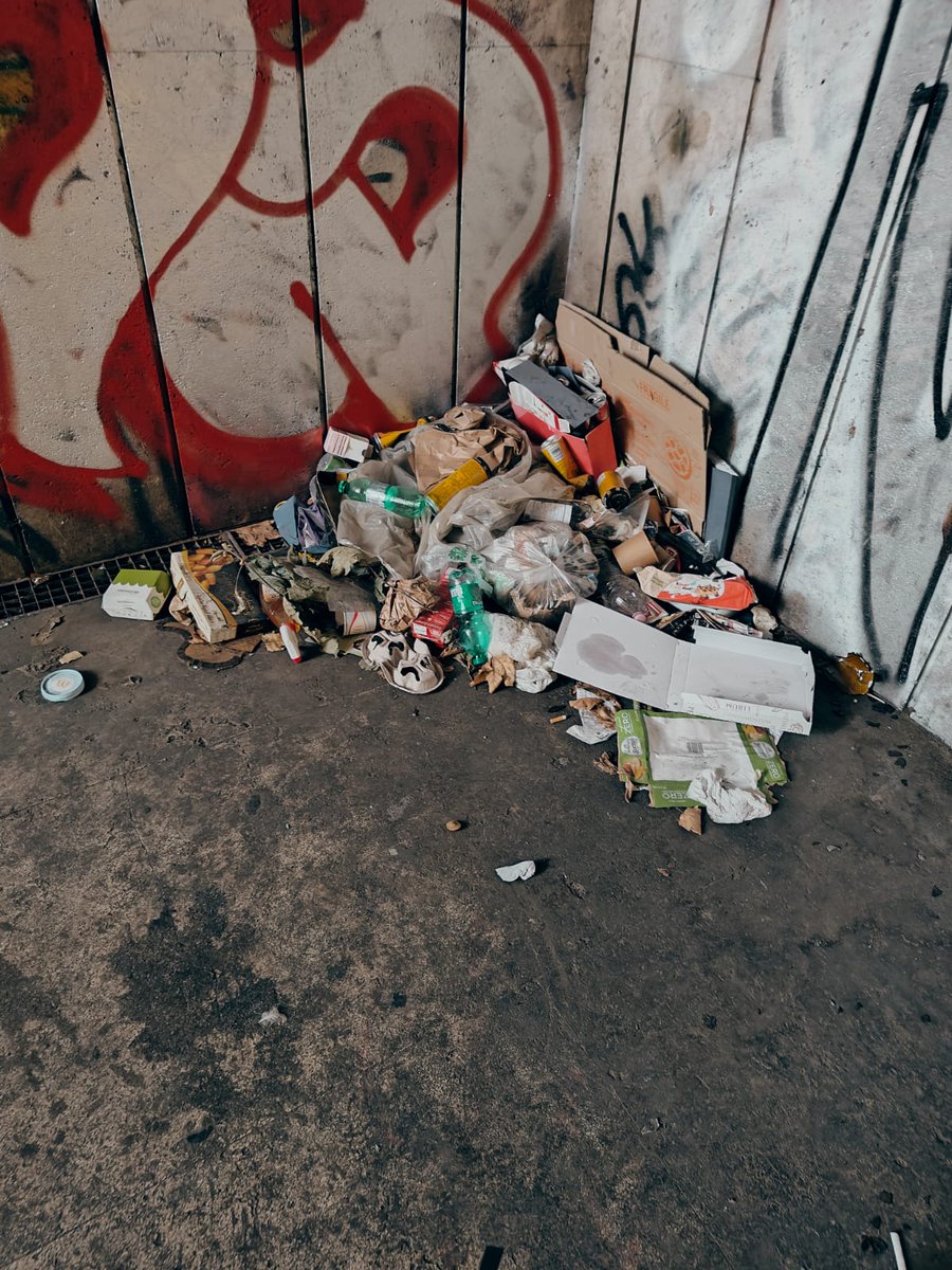 loredana felici tweet media