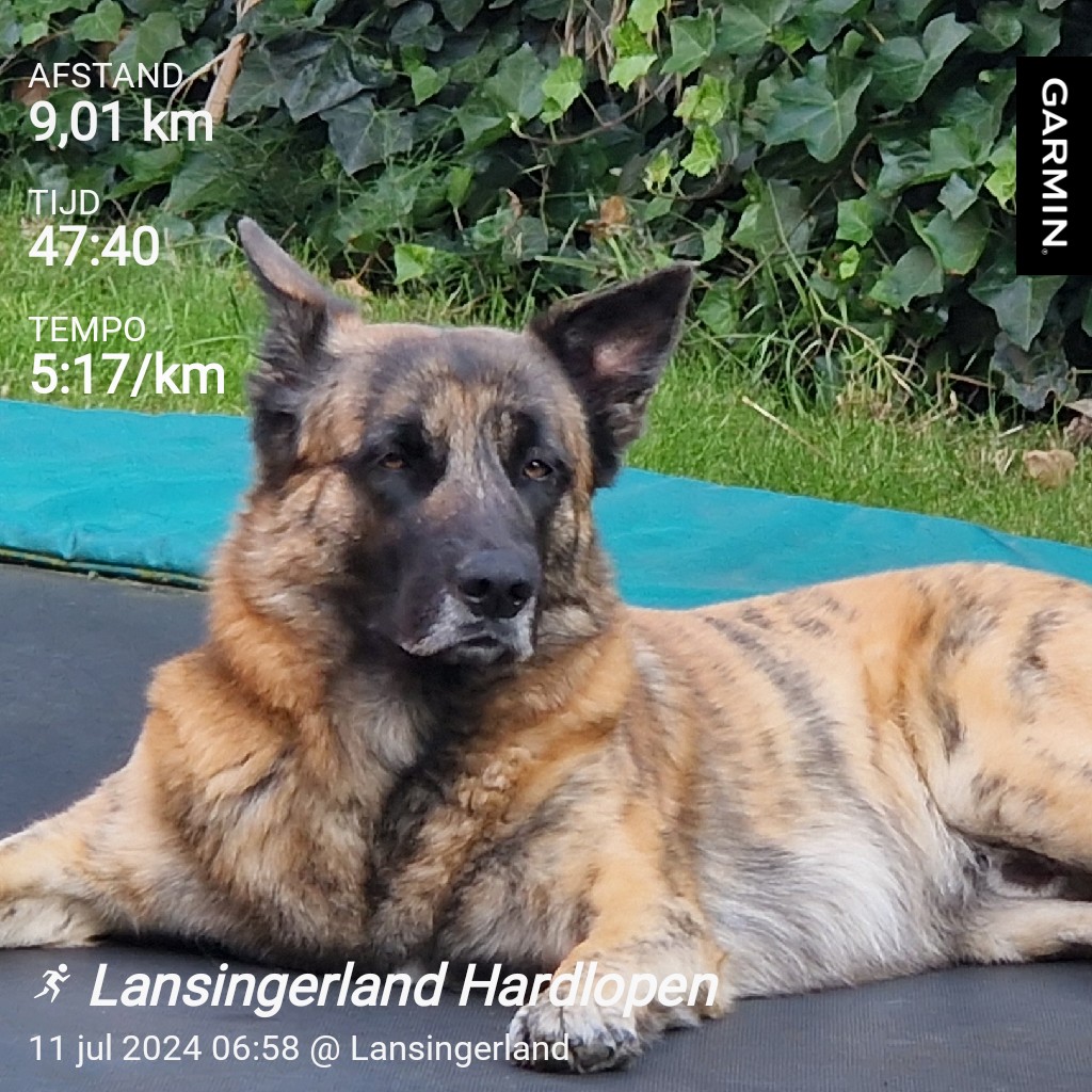 RunningAbove50's tweet image. Vroeg, koel loopje om de dag mee te starten. #garmin #beatYourself #fit50to65