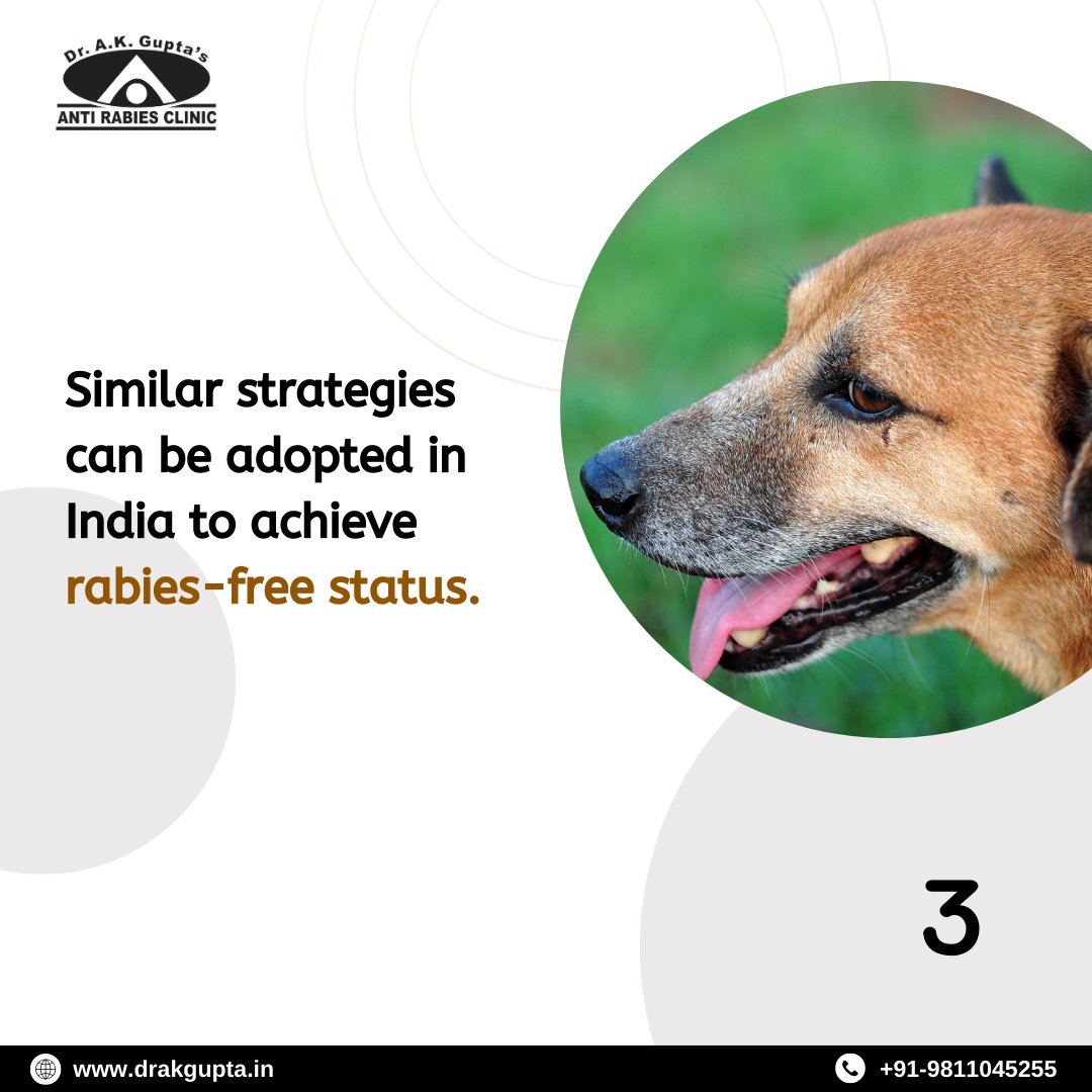 DrAnilG49759716's tweet image. Wildlife Conservation: A Key to Rabies Prevention. For expert guidance on rabies control, Dr. A K Gupta’s Anti-Rabies Clinic, awarded the Best Anti-Rabies Centre in Delhi-NCR.

#WildlifeConservation #RabiesPrevention #NonInterference #DrAKGuptasClinic #AntiRabiesClinicDelhiNCR