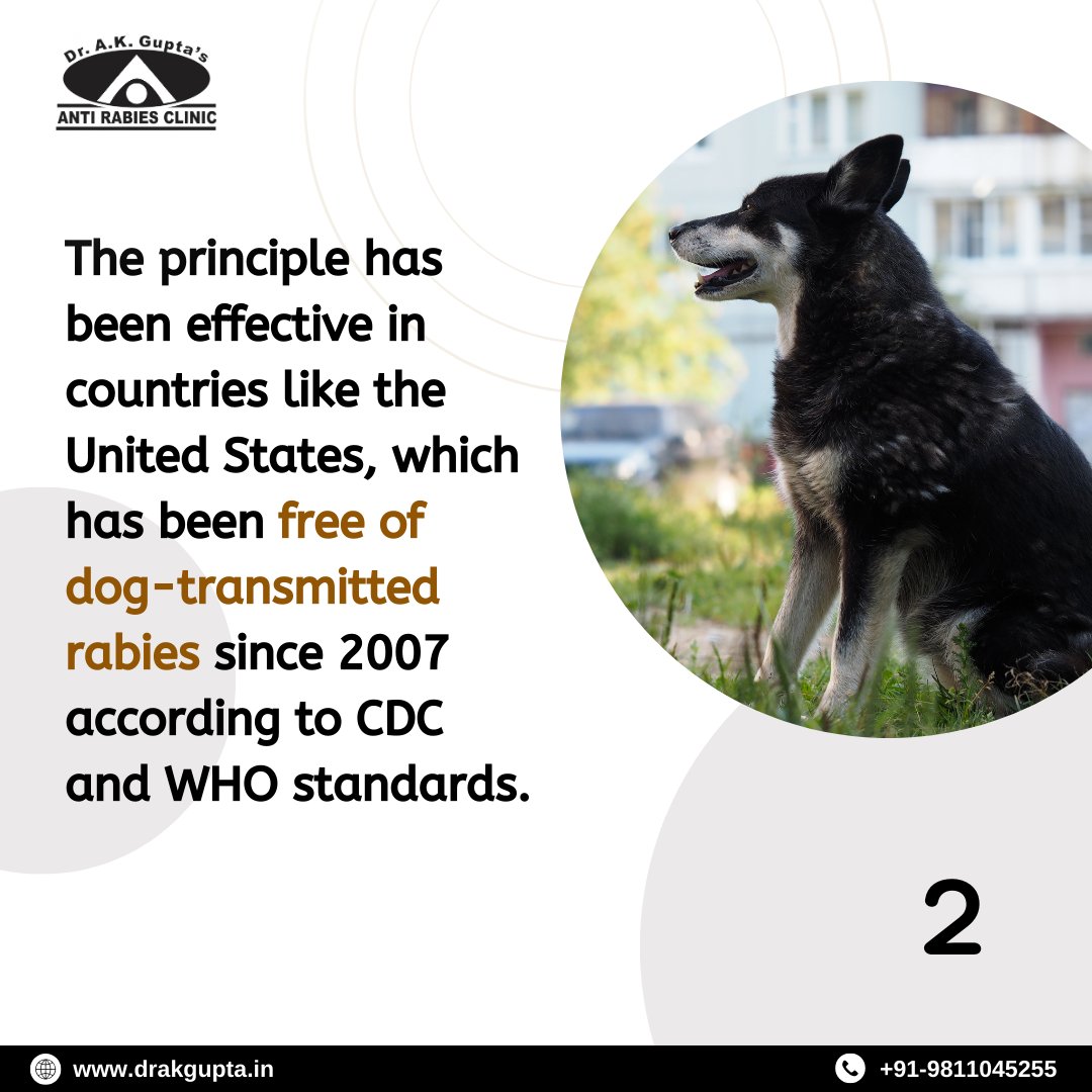 DrAnilG49759716's tweet image. Wildlife Conservation: A Key to Rabies Prevention. For expert guidance on rabies control, Dr. A K Gupta’s Anti-Rabies Clinic, awarded the Best Anti-Rabies Centre in Delhi-NCR.

#WildlifeConservation #RabiesPrevention #NonInterference #DrAKGuptasClinic #AntiRabiesClinicDelhiNCR