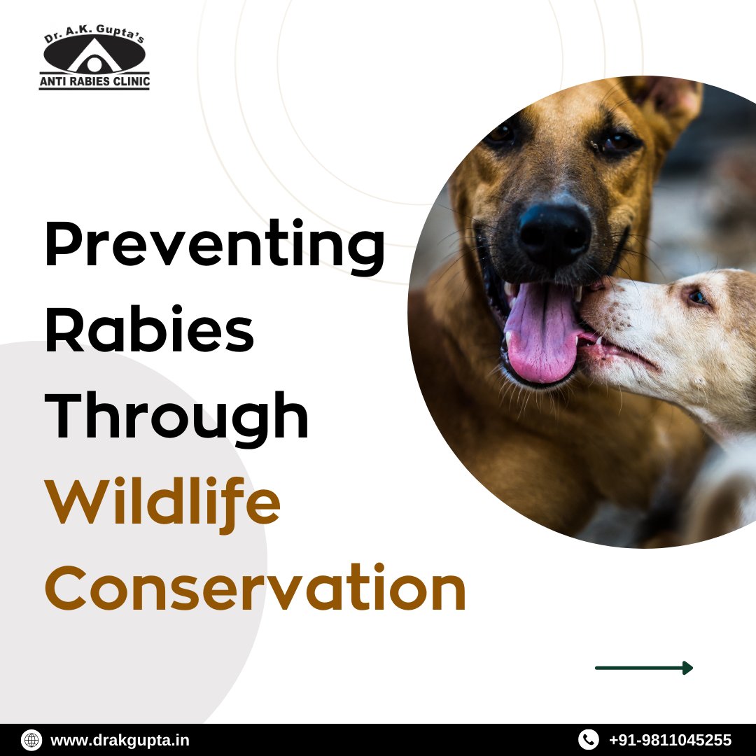 DrAnilG49759716's tweet image. Wildlife Conservation: A Key to Rabies Prevention. For expert guidance on rabies control, Dr. A K Gupta’s Anti-Rabies Clinic, awarded the Best Anti-Rabies Centre in Delhi-NCR.

#WildlifeConservation #RabiesPrevention #NonInterference #DrAKGuptasClinic #AntiRabiesClinicDelhiNCR