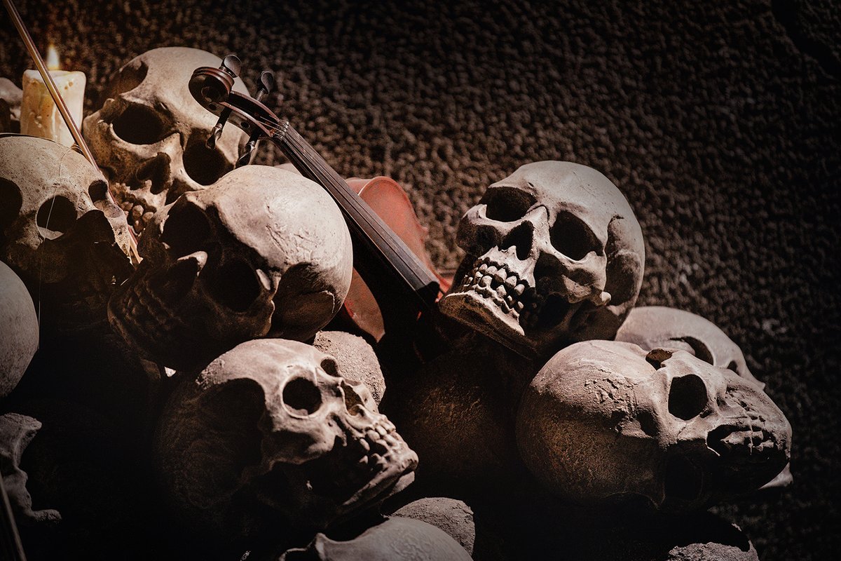 Wil jij nóg meer te weten komen over Danse Macabre? 🕷️🎻👉 bit.ly/4eS9W9w