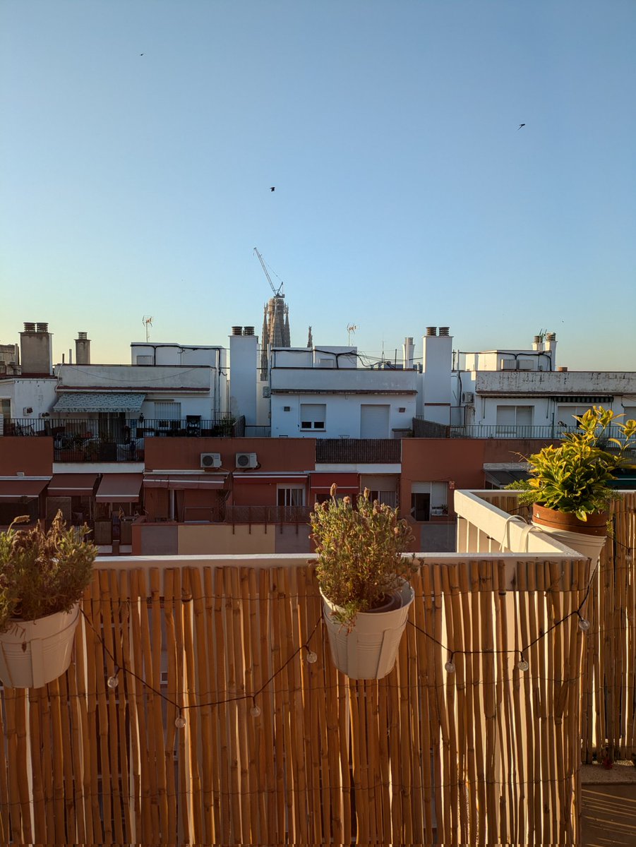 ma_mamii's tweet photo. スペインのバルセロナに昨日ついたよ
Airbnbでアパート借りてバルコニーで夕食🍴生ハム、チーズ、イカスミのパエリア？、かためのプリン美味しかった〜 https://t.co/1q598KX1m5