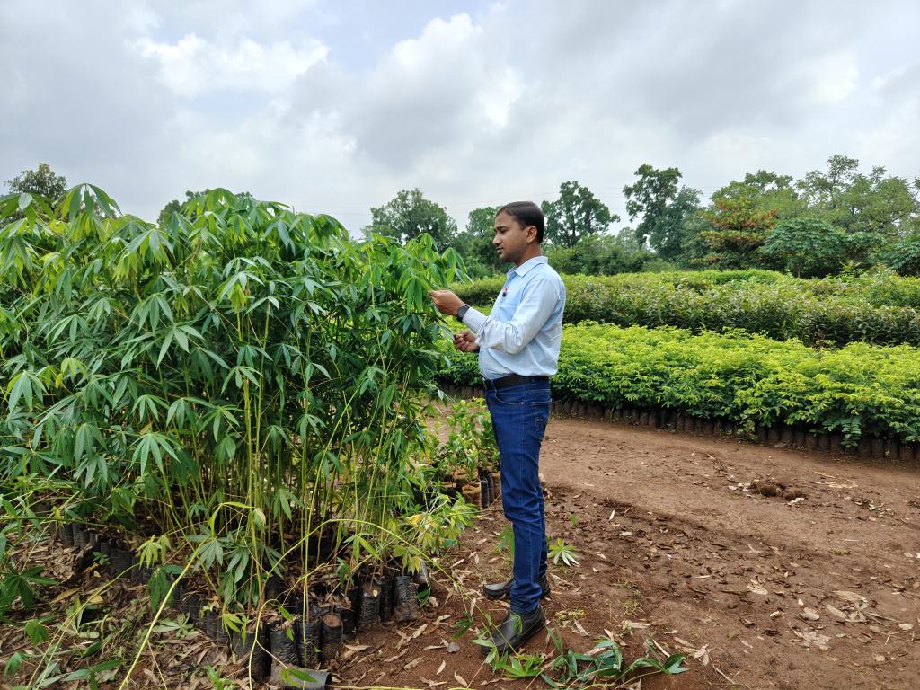 SusantaBiswal82's tweet image. Close to Environment Close to Life
 #Save_Environment #Save_World 
#Forest
@ForestDeptt