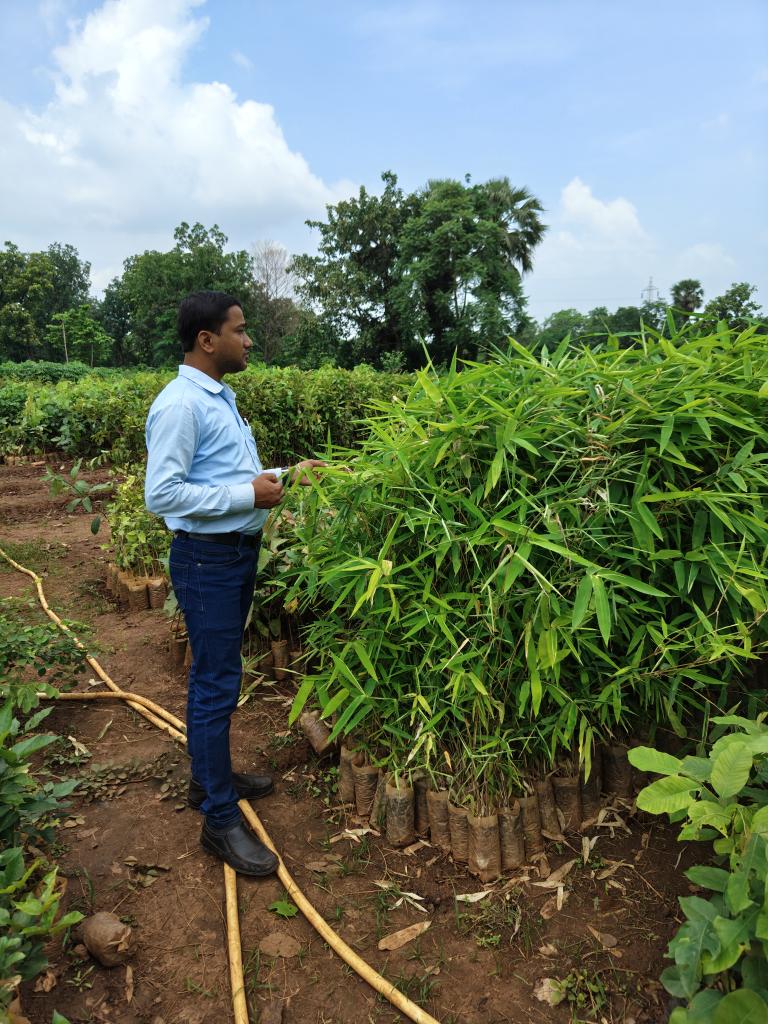 SusantaBiswal82's tweet image. Close to Environment Close to Life
 #Save_Environment #Save_World 
#Forest
@ForestDeptt