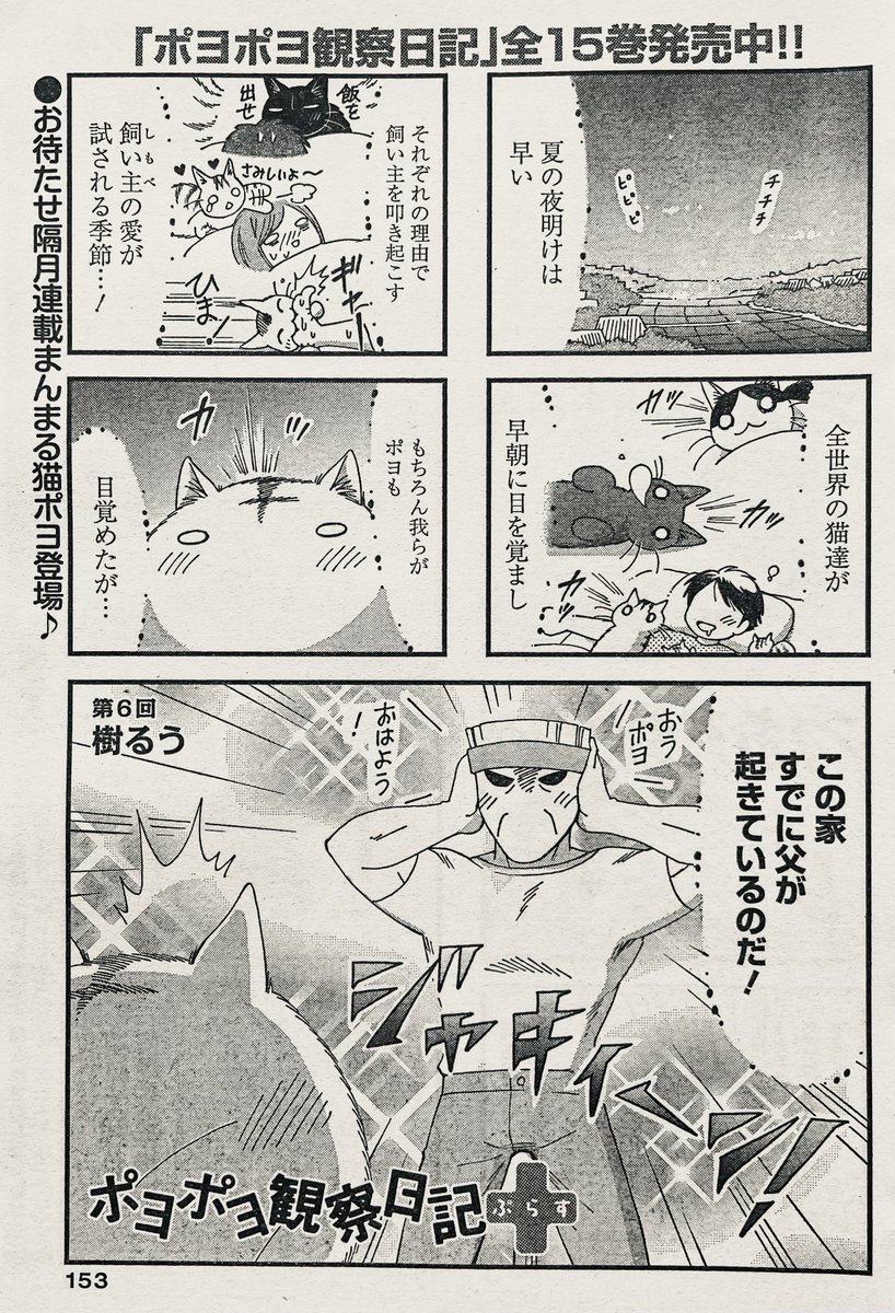 本日、まんがライフオリジナル8月号の発売日です。
うちのチート猫はアポなし凸おじさんに立ち向かいます。
そして今月はポヨポヨ観察日記+も掲載!
ポヨと佐藤家の父が筋肉の力で猛暑に立ち向かいます。
両方ともよろしくお願いします!