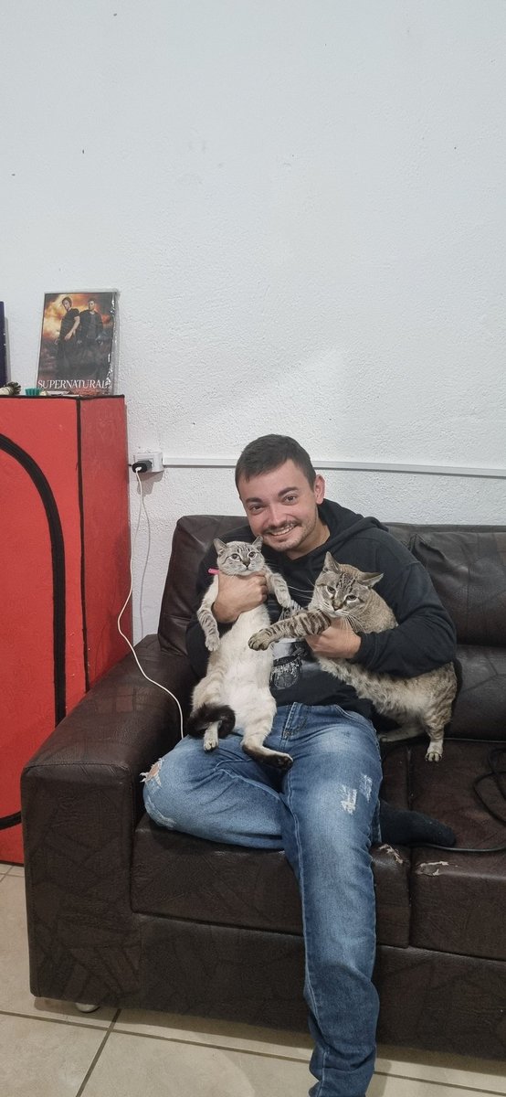 Holymrman's tweet photo. Meus filhos que amo tanto🤎
.
#gateiro https://t.co/5JGiAa8BHN
