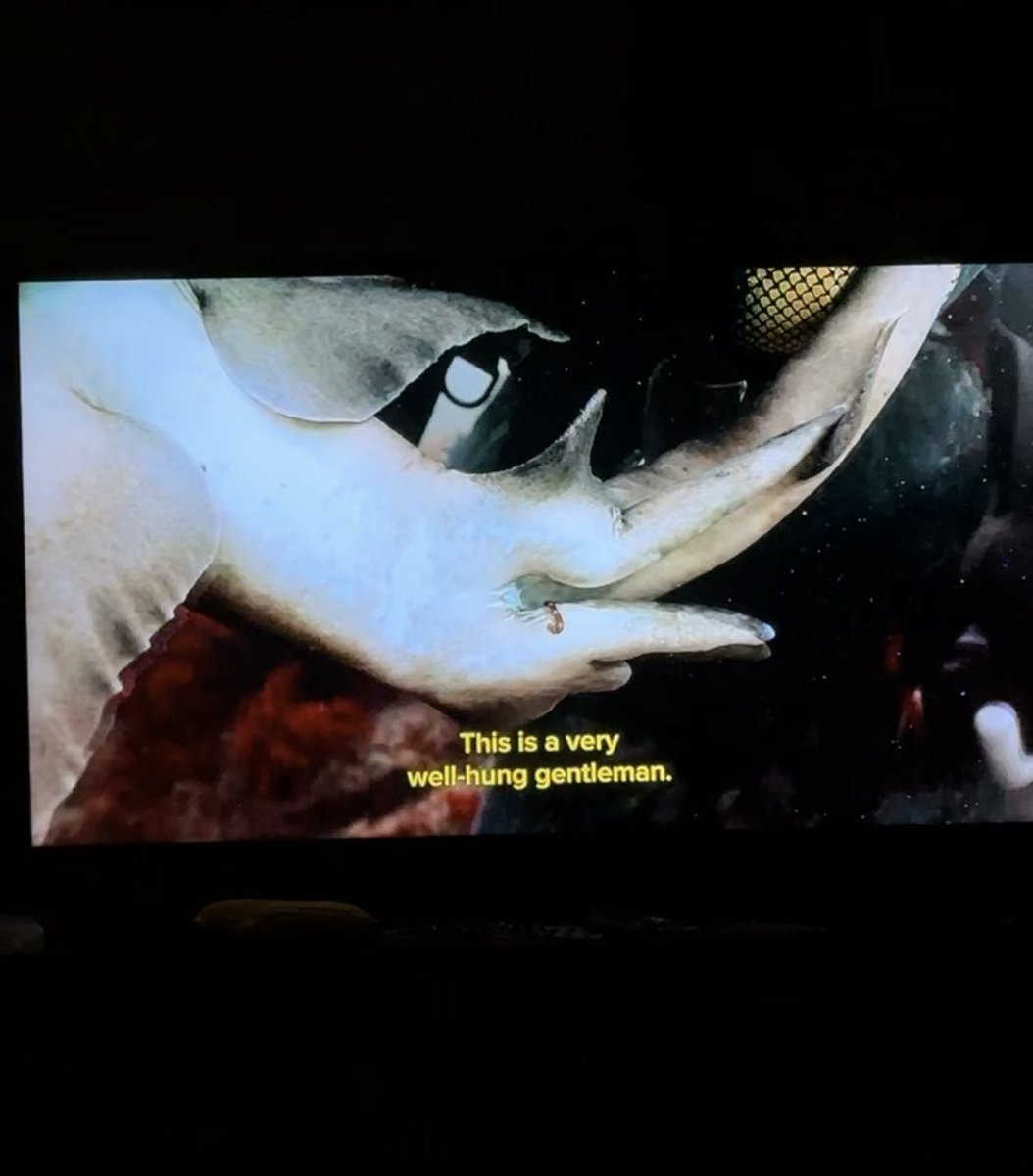 lapham_al01's tweet photo. #SharkWeek2024 = year of the clasper

#SharkWeek https://t.co/9HR1olTNhO
