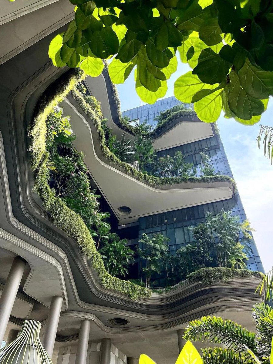 🇸🇬緑が誇張されすぎていて、周囲は立体的で清潔でさわやかです🌳 どこを歩いても現代の都市と自然の完璧な融合を感じることができます〜。