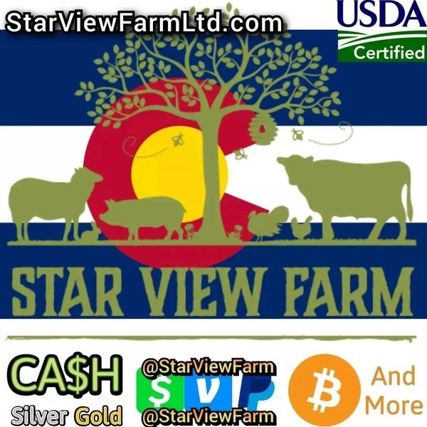 StarViewCrypto's tweet image. We gladly accept many forms of payment.
We happily trade food for many different types of items.
This was a trade for our jerky and season all. And we received these @veefriendscards in exchange.
#MintCondition
We will trade food for #collectibles, precious metals, and shiny
1/2