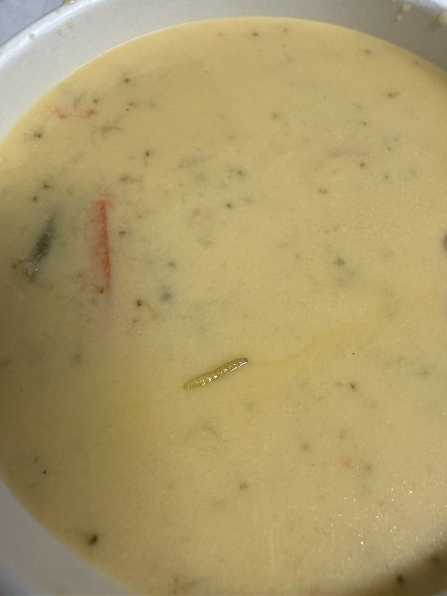 f_marieeee's tweet photo. @panerabread  just got soup from your location in Trussville, AL and there’s some kid of larvae in it. Absolutely disgusted!! https://t.co/Hwk7uAKIGm