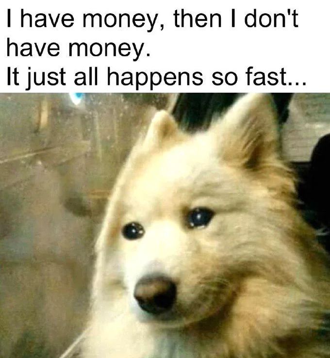 WholesomeMemes (@wholesomememe) on Twitter photo 