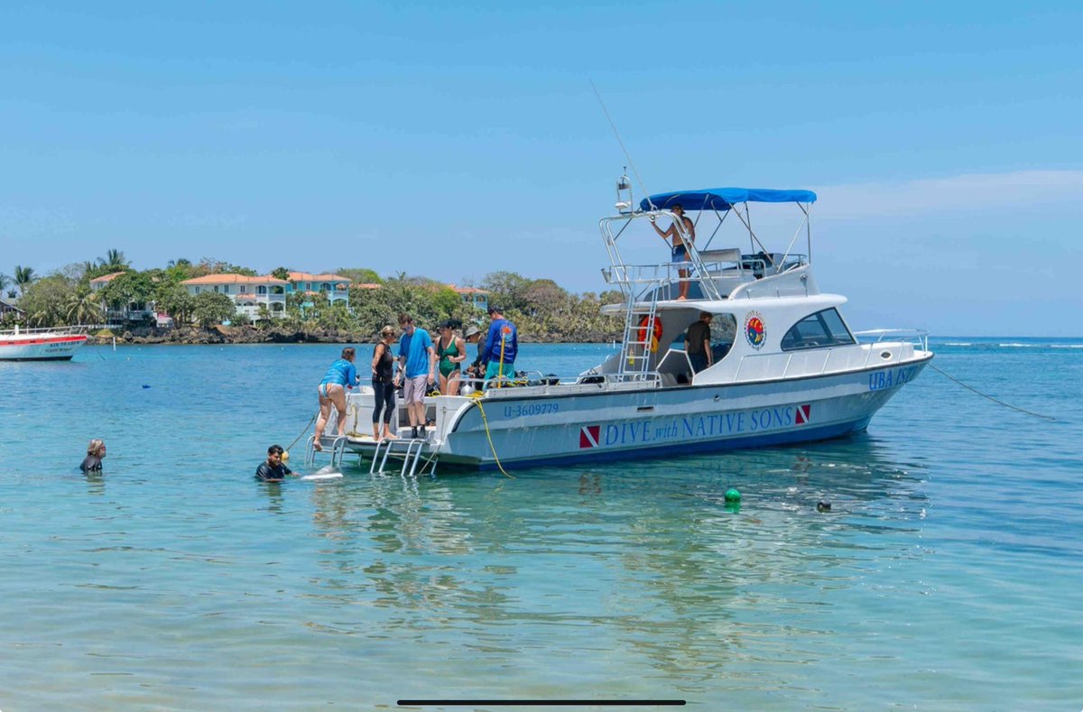 mike_roatan's tweet image. Dive shop for sale on Roatán!