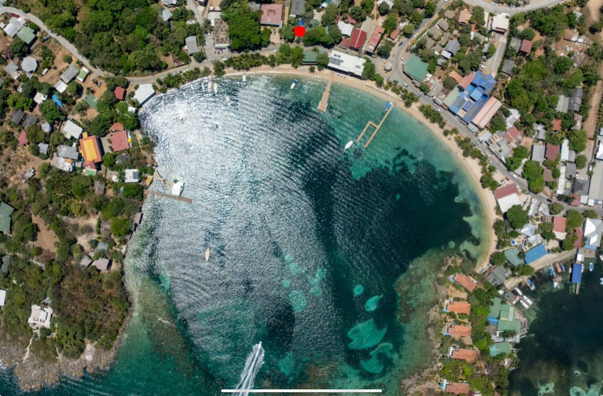 mike_roatan's tweet image. Dive shop for sale on Roatán!