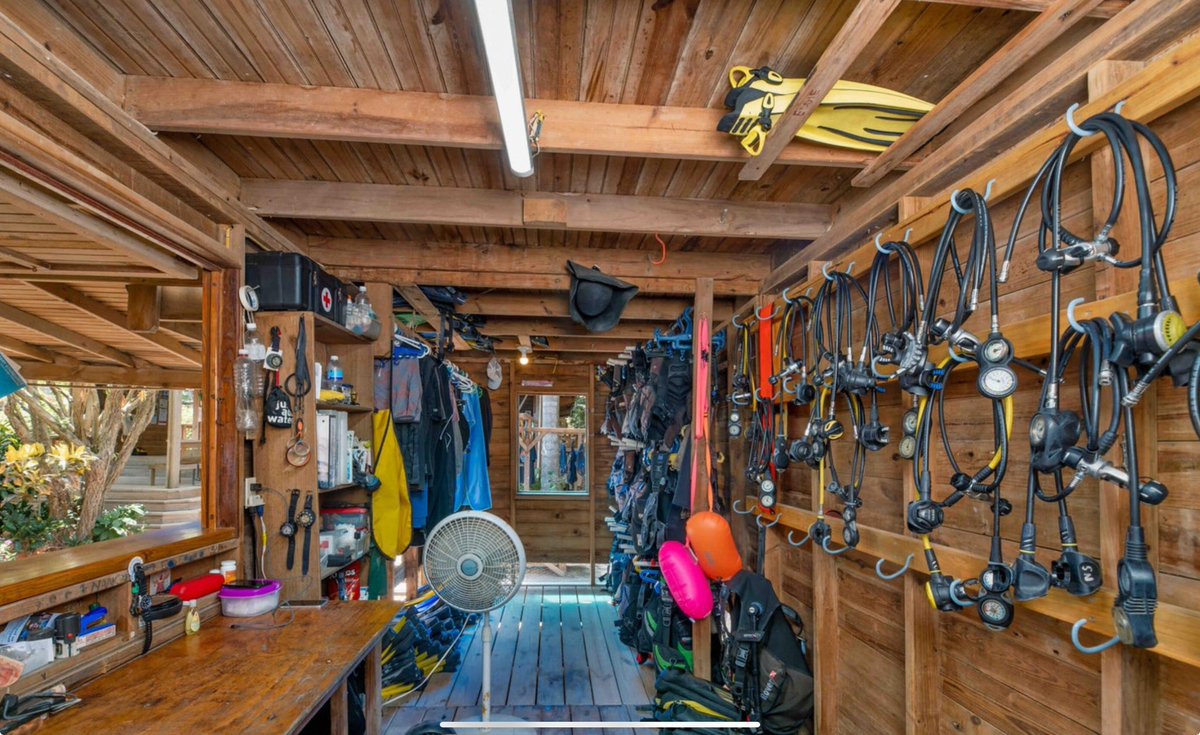 mike_roatan's tweet image. Dive shop for sale on Roatán!