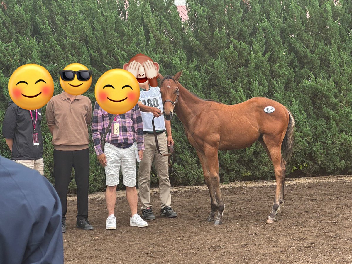 ご購買していただき誠にありがとうございました。
また、競り上げに参加してくださった方々にも心からお礼申し上げます。

2013年のセレクトセールでは800万円一声で終わり悔しいおもいをしました。
自信ある馬がこうして高く評価していただき凄く嬉しいです。