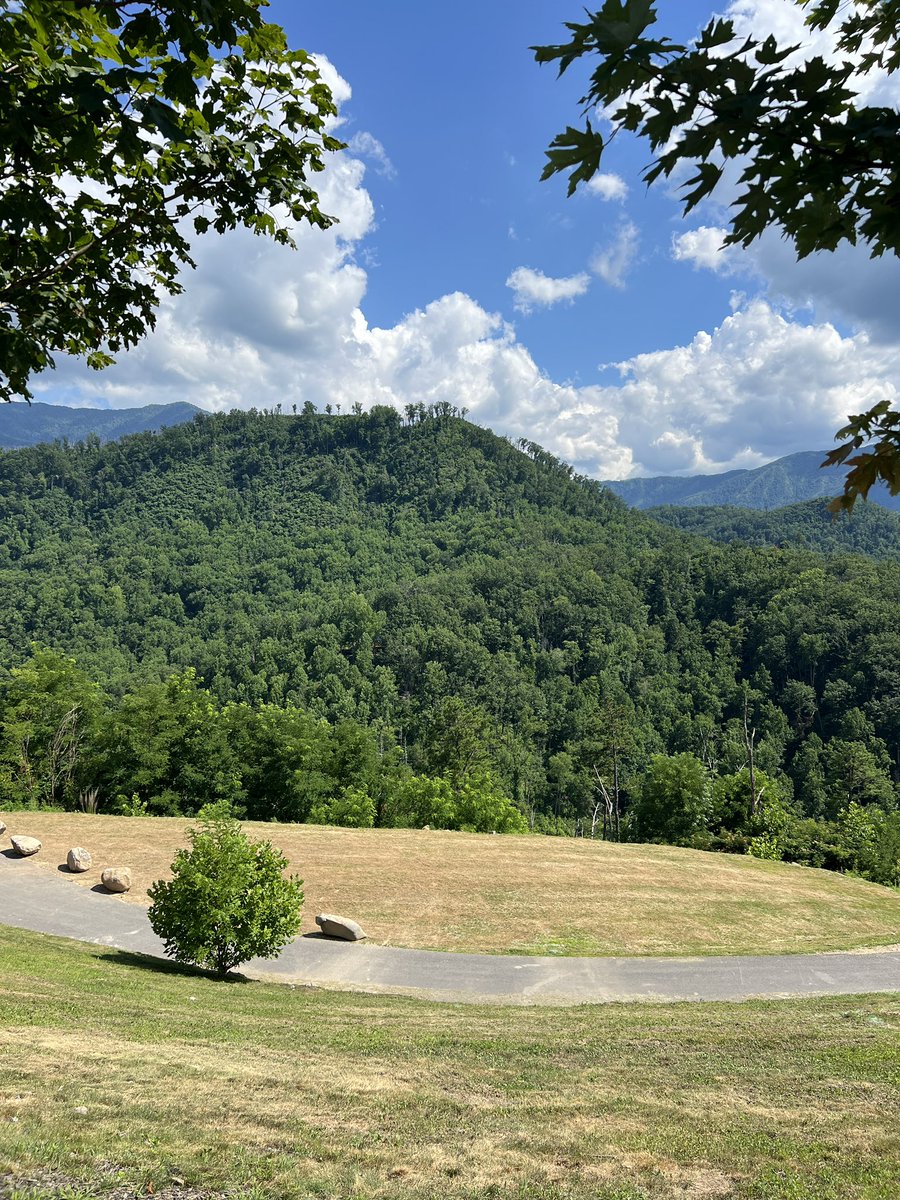 Freedman Seating Co. tweet media