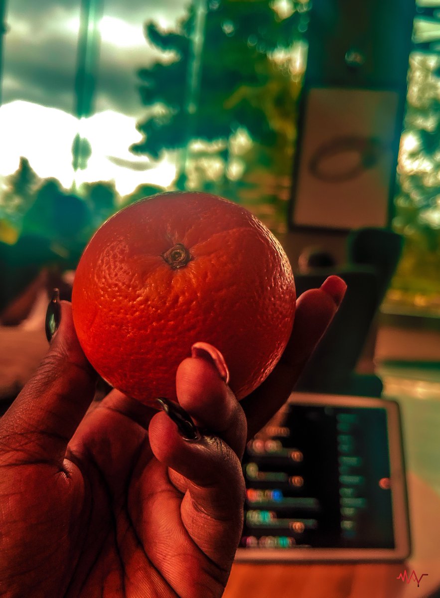 Pose4May's tweet photo. Day 11. Orange 
#30DaysofPhotography https://t.co/lgaiy3Ti6J