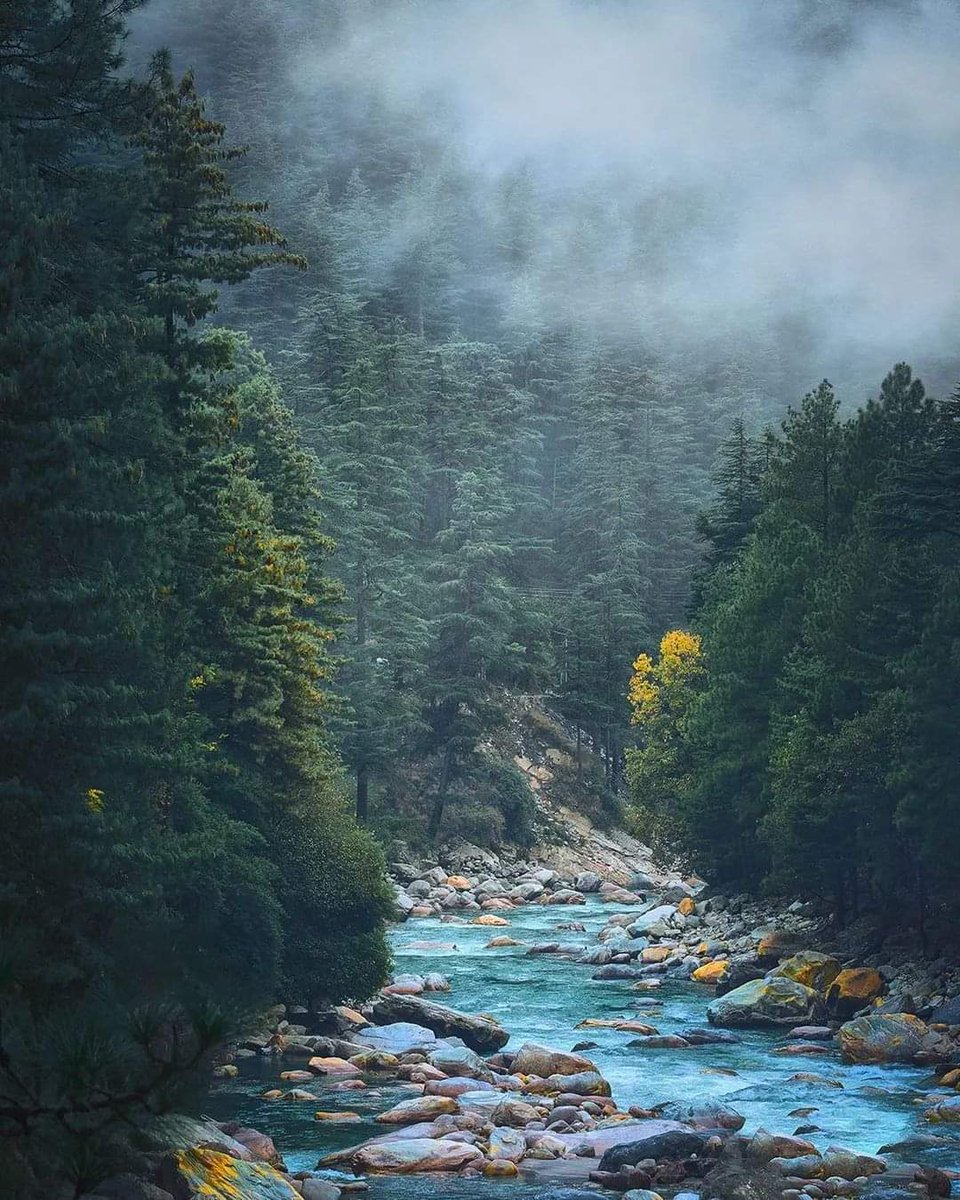 TAdventurousoul's tweet photo. Life is not about making goals, fulfilling them and making fortunes . It’s more about the experience within the journey of achieving the goals. We tend to forget about our inner health and calm amidst the chaotic lifestyle in the cities. It is very important to get out in nature and attain the utmost peace that our soul sought for.
.
Location: Enroute Chalal, Himachal Pradesh, INDIA
