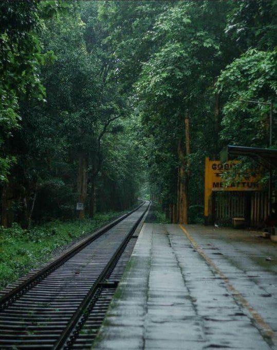 தண்டவாளங்கள் ஒருபோதும்
சேருவதில்லை
 என்கிறார்கள்...

ஏன் அவை ஒருபோதும்
"பிரிவதேயில்லை"
 என்பதை
 உணர்வதேயில்லை..!!

#பபி 

#இனியகாலை 
🔴🟢