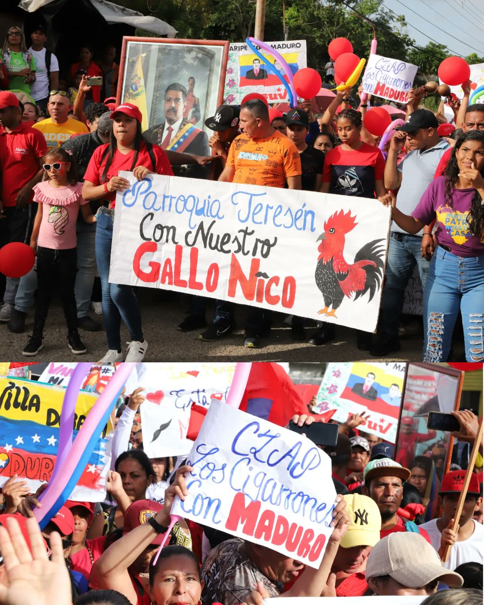 ErnestoLunaPsuv's tweet photo. Epa me vine a la parroquia Teresén, municipio Caripe, donde marchamos en apoyo al gallo pinto de Venezuela @NicolasMaduro, nuestro candidato para este 28 de julio. ¿Les digo algo? La alegría que se vivió aquí no la tiene nadie, compadre. Nosotros venceremos. https://t.co/qhWMrd037v