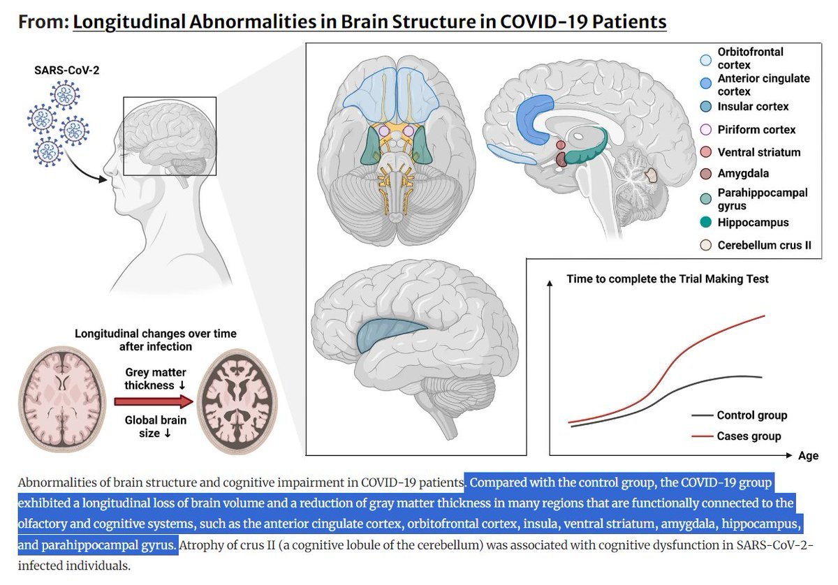Danielle Beckman tweet media