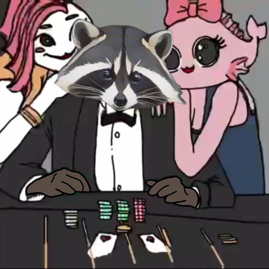 Koon 🦝 tweet media
