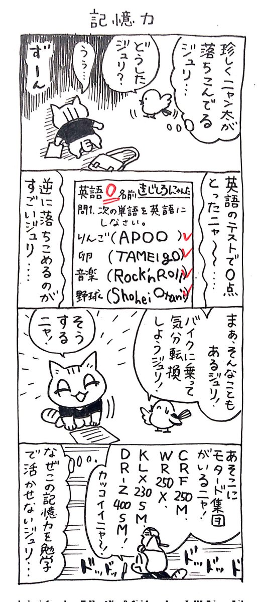 4コマ漫画「ネコ☆ライダー」 記憶力🏍️🐈️