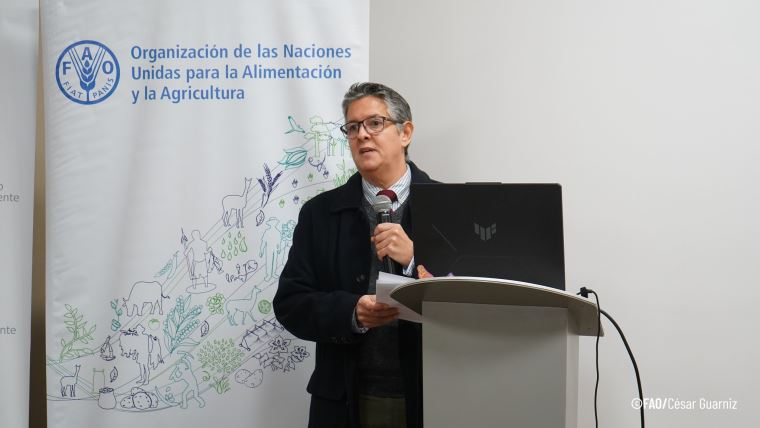 DiarioElPeruano's tweet photo. 🔴El @MinamPeru y la @FAOenEspanol realizaron el Taller de validación de la Fase Preparatoria del Proyecto, con el fin de propiciar el intercambio de información entre los actores estatales y no estatales.

▶️https://t.co/Rl1yuHTmkX https://t.co/sZNzeGaQtA