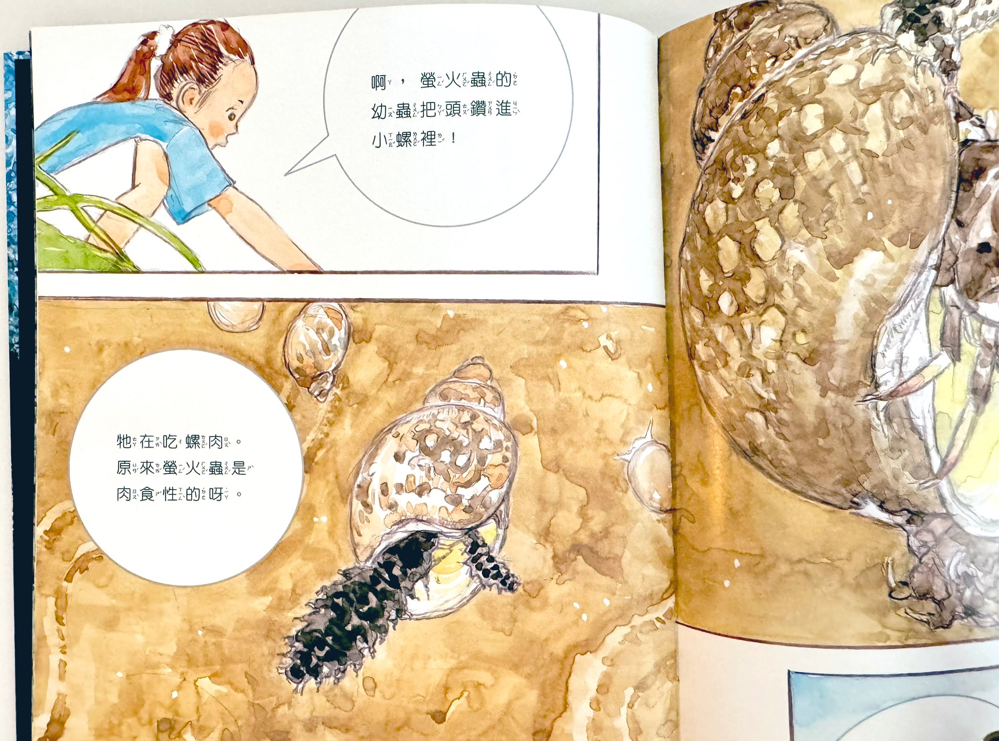 c89 ヤマノススメ 不思議なホタルの物語 原画集 c89 ヤマノススメ 不思議なホタルの物語 原画集 修正集