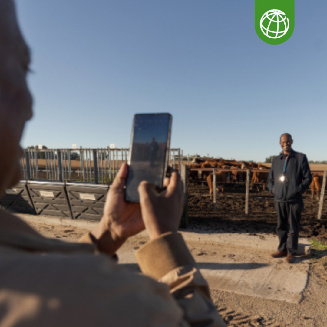 BancoMundial's tweet photo. “El futuro no puede ser incierto si lo moldeas tú mismo”. Investigadores uruguayos de @INIA_UY @hereforduy inspiran a visitantes etíopes con conocimientos sobre prácticas ganaderas sostenibles y tecnología de vanguardia. 

Conoce más: