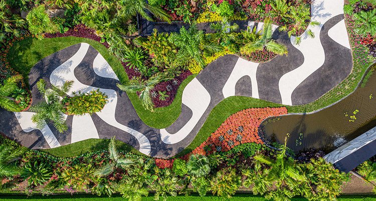 alejandrocsome's tweet image. Roberto Burle Marx, paisajista, trayendo el Amazonas a las ciudades brasileras.