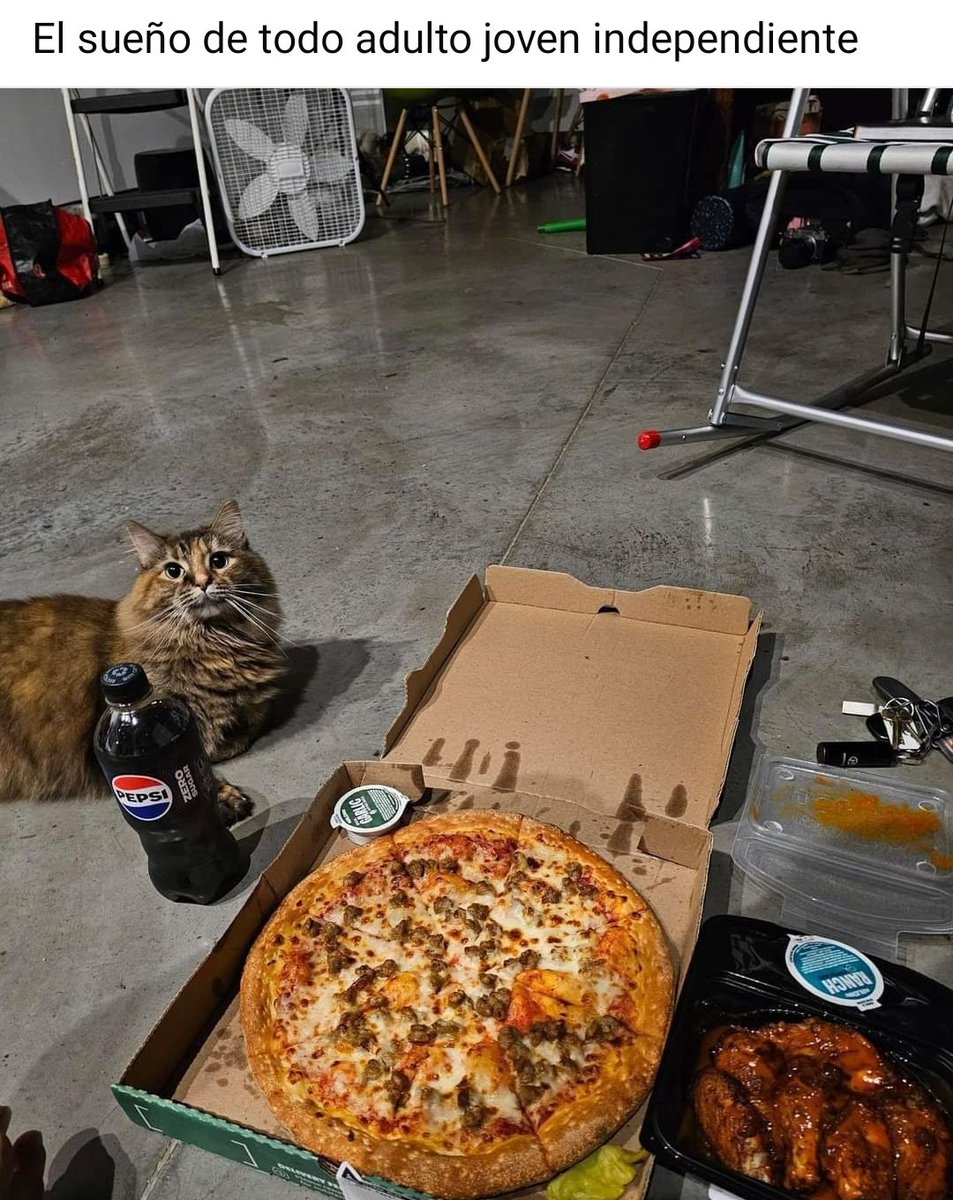 Mega atún (@abellcymeg) on Twitter photo 