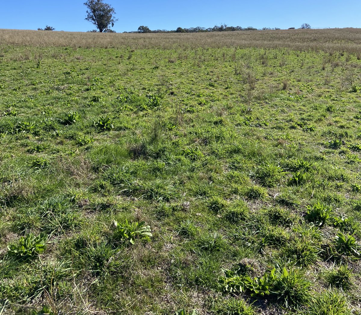 Marty Conroy tweet media