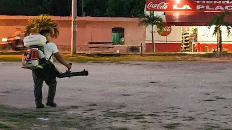 PAN Mérida tweet media