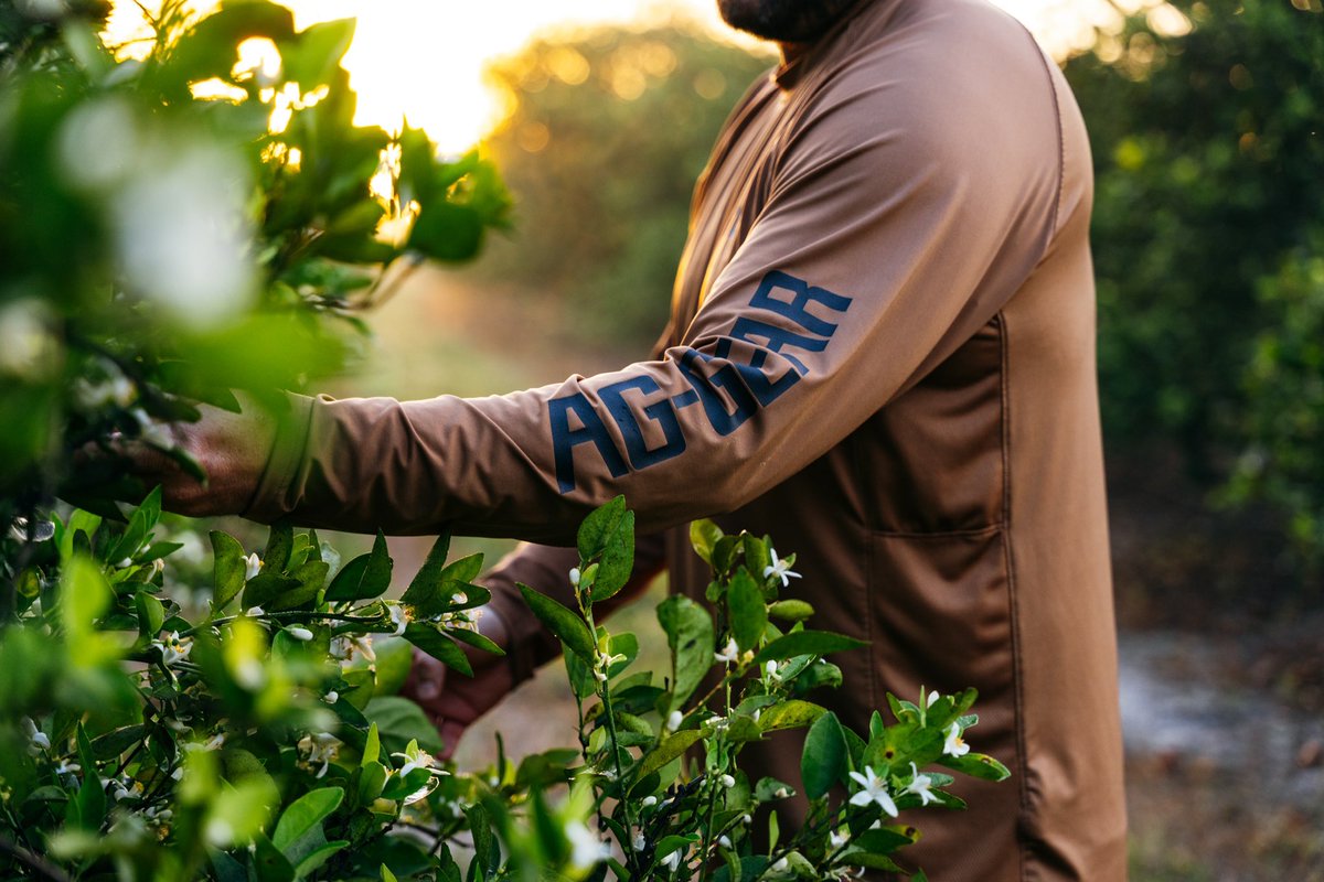 aggearclothing's tweet photo. The Farm-Pro Performance LS is the ultimate work shirt for the farm or ranch. Engineered with sun protection, mesh venting, and antimicrobial fabric, it offers superior protection against the elements. #farmpro #longsleeve #sunprotection #breathable #antimicrobial #protection https://t.co/OaqWJp08tp
