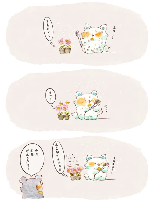 第9話「お花さんは水浴びたい」  
(ホッキョクグマのほっしぃ) #漫画 #オリジナル 
