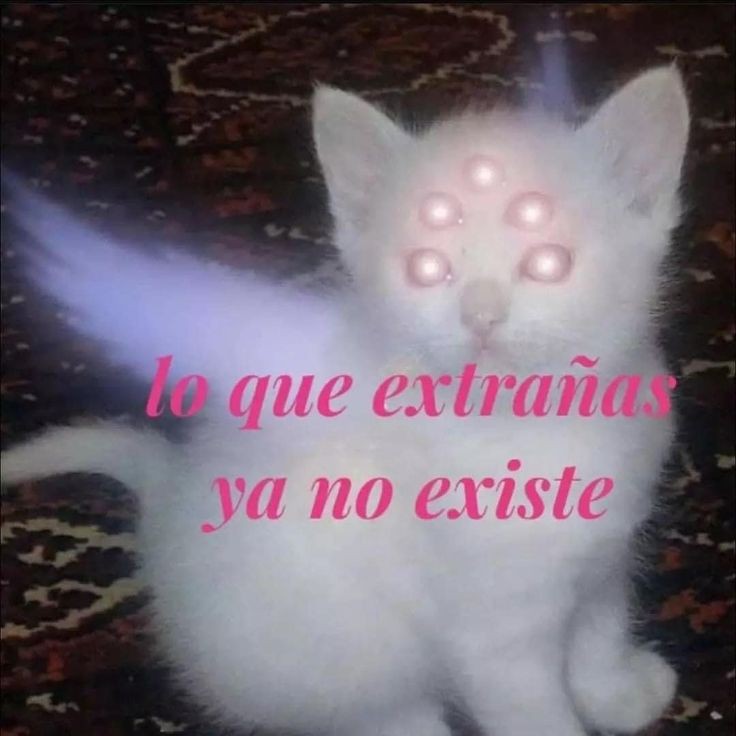 AaronSapia6's tweet photo. Después de tanto hoy me la cruze entre un intercambio de miradas me di cuenta
No me afecto en nada verla 
Era la ultima prueba que me faltaba hacer la que me daba curiosidad y suspenso
Como reaccionaria mi alma a esa persona
La ignore como si no fuera nadie 
Orgulloso demi sentir https://t.co/Dgzjl02Kmc