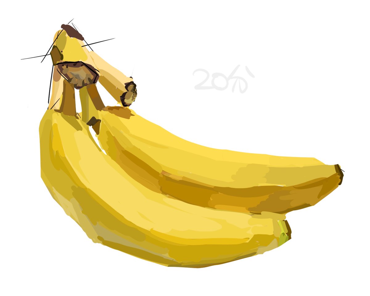 i_u_a_ono's tweet photo. 2時間分の模写〜　透けてるやつ難しい https://t.co/9zscuoZnsr