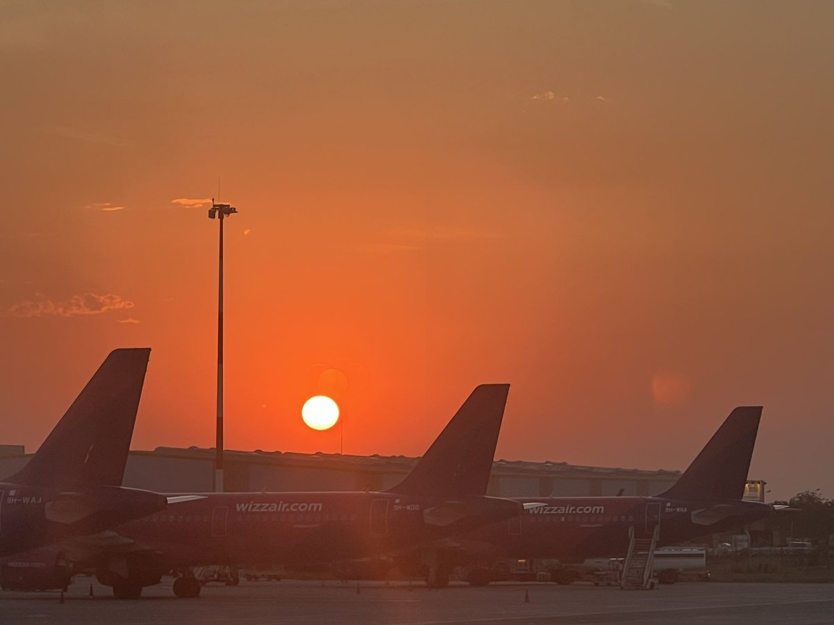 JojoBlockchain's tweet image. Arfing at the sunrise. worth every yawn!

🦭✈️

#Netherlands bound and #sappy AF