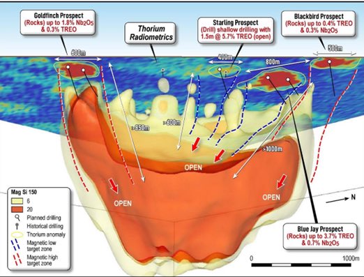 ASXPeoplesChamp's tweet photo. $BIM.ax $BIM
Gold, Copper, Niobium or possible acquisition.
This little $2m junior will really pop on some positive news with only 32m SOI.
Directors hold plenty and have millions of Oct 2024 30c options to hopefully sharpen the focus. https://t.co/6PON8jqkXv